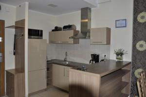 Olympic Park Apartment