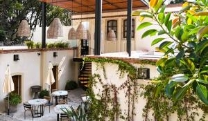 Orchid House Coyoacan