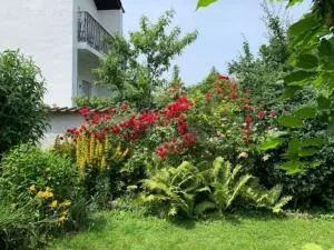 WatzMannOG - 弗里德贝格