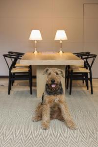 Hab306 zonaG by letoH