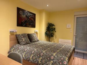 Appartements Loft Spa Reims-fr 250m2 privatifs, piscine interieure chauffee, spa et parking : photos des chambres