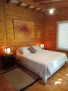 Raki Bed and Breakfast Hostel - Neltume