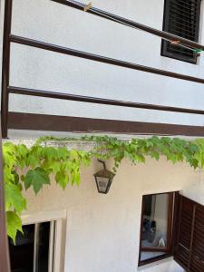 Casa Hedera - peaceful and surrounded by greenery