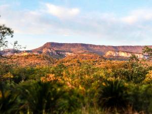BIG4 Carnarvon Gorge Holiday Park