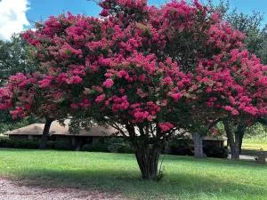 Amazing Grace Ranch Retreat - Dublin
