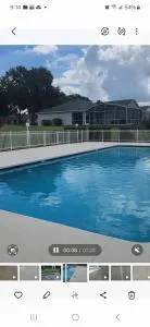 D&T Flamingo Paradise - 海恩斯城