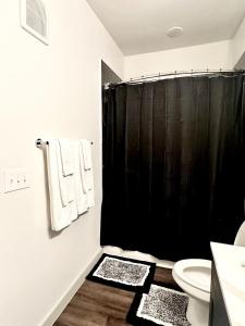 Cozy apartment near downtown HTX