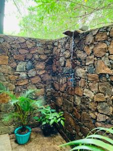 Nature World Udawalawe