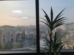 A house with a great view and elevator access near Hongdae Ipgu Station
