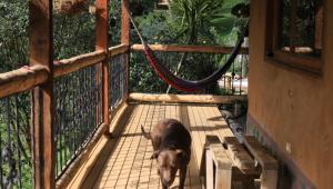 Luna Verde Eco Hábitat