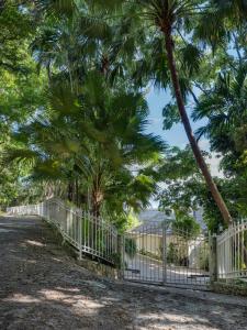 Villa Jamille - Stunningly Designed Villa with Pool, Sauna, & Ocean Views