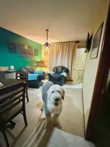 Cabaña rincón del salto - Cabrero