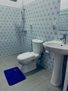 The Misty Mountain - Ella