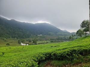 Camping Ground Mount Luhur