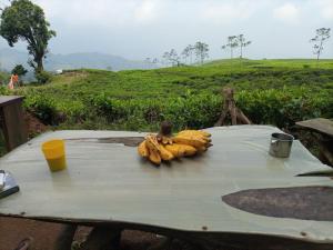 Camping Ground Mount Luhur