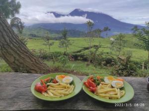 Camping Ground Mount Luhur