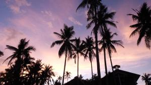 Avida Tower One Cebu city