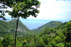 Avida Tower One Cebu city