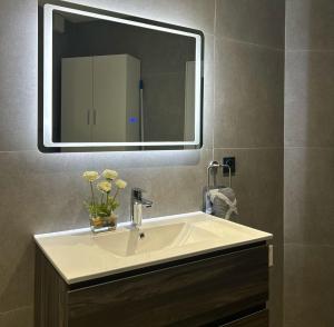 Appartement port Frejus