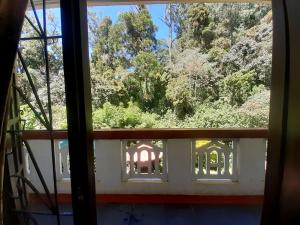 Forest View Rest Nuwaraeliya