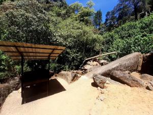 Forest View Rest Nuwaraeliya