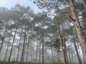 Vườn An Nhiên - Bảo Lâm