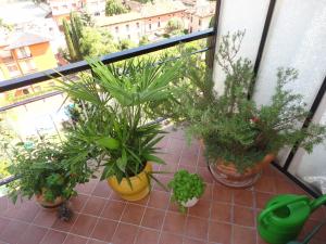 Ferienwohnung Maderno