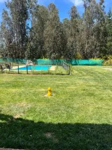 Cabañas mi refugio salto del laja - Huépil