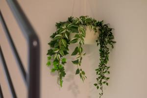 Villa Perini by IstriaLux