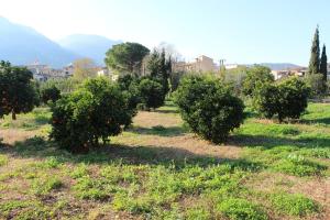 Sóller Relax, cozy and rural apartment