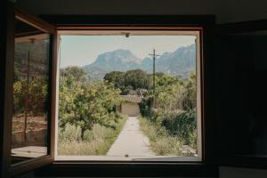 Sóller Relax, cozy and rural apartment