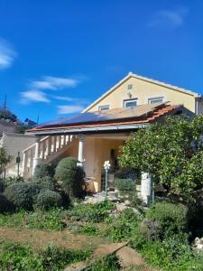 Jenny`s House
