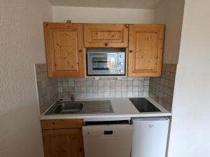 Studio confortable 4 pers, animaux admis, au pied des pistes - FR-1-811-30