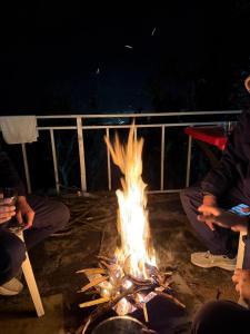 Echoes of the Himalayas