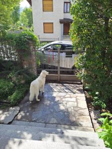Appartamento con 3 Camere da Letto