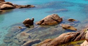 Agriturismo Li Scopi img56