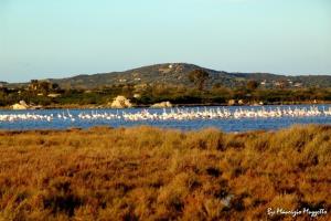 Agriturismo Li Scopi img51