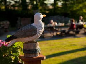 Ferienhaus Darßblick mit Terrasse und Sauna