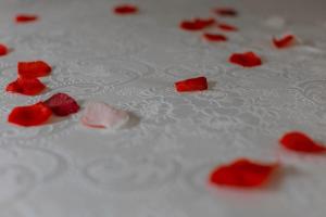 Toni Rosa House - Cozy Apartment - Molfetta