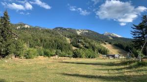 Appartements Studio calme et apaisant au Clos de la Balme : photos des chambres
