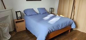 Appartements Appartement F2 Orleans 42m2, parking, 4 couchages et lit bebe : photos des chambres