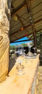 Mas Crudel - Maison de caractère - Giroussens