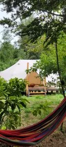 Glamping Bosque - Río Villarrica - Huiscapi