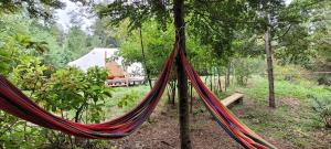 Glamping Bosque - Río Villarrica