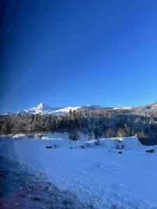 Appartements La Suite Unique - Le jardin sur les Pyrenees- vue panoramique montagne -jardin cloture prive de 100m2-Parking-Linge de lit et serviettes compris- : photos des chambres