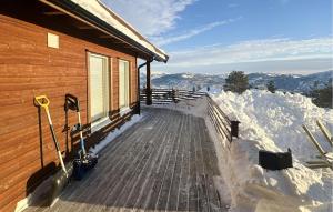 3 Bedroom Amazing Home In Vrådal