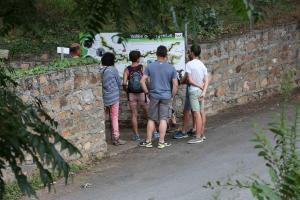 Campings Camping Au Lac d-Hautibus : photos des chambres