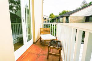 Elegant 1 Bedroom Apartment with Balcony Surry Hills 4