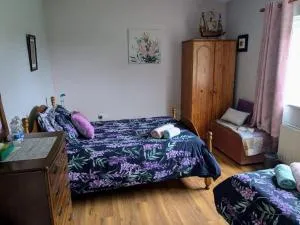 Home in the beautiful Meath countryside - Ardcath