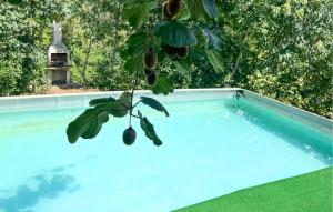 1 Bedroom Amazing Home In Onzo